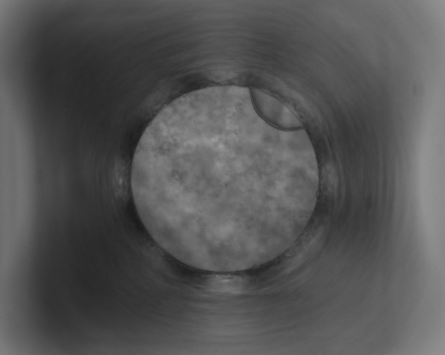 X0000102300234200808221427