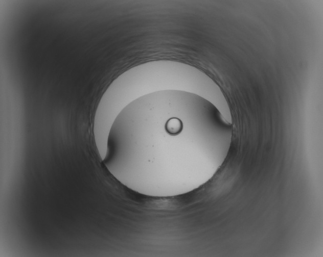 X0000102300237200808221427