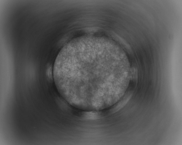 X0000102300238200808221427