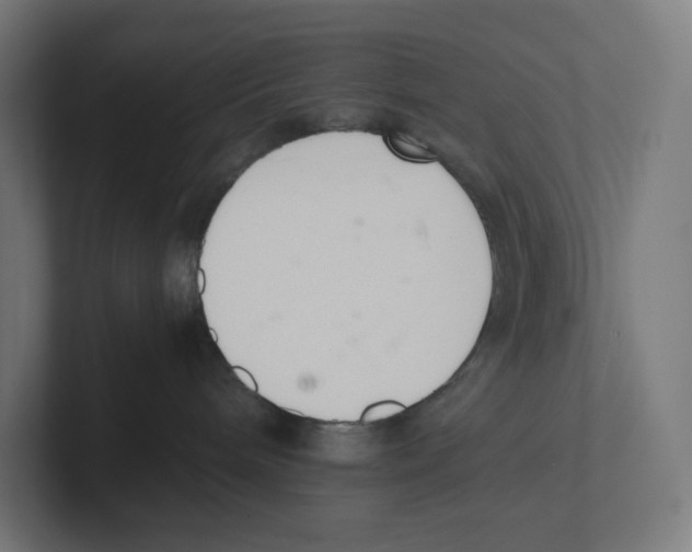 X0000102300240200808221427