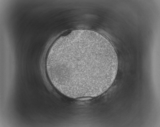 X0000102300241200808221427