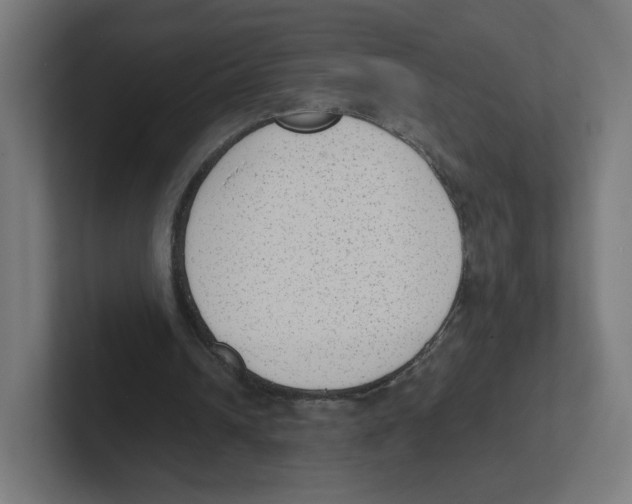 X0000102300242200808221427