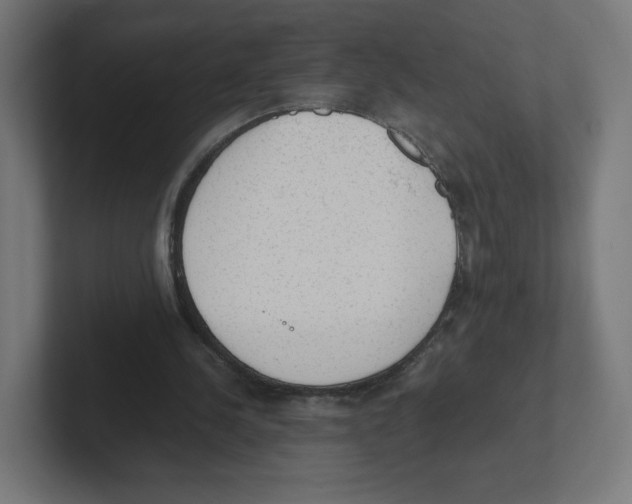 X0000102300244200808221427
