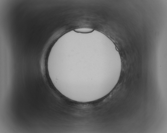 X0000102300245200808221427