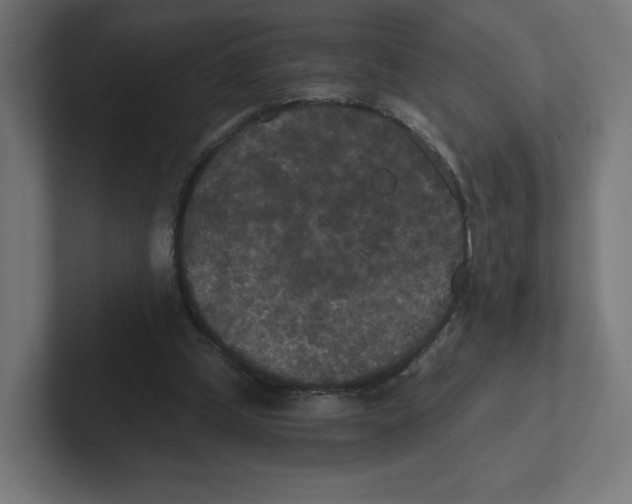 X0000102300249200808221427