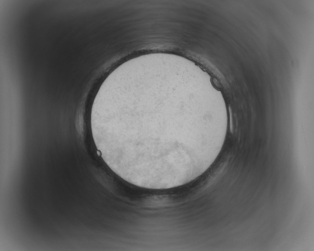 X0000102300252200808221427