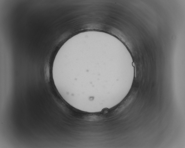 X0000102300253200808221427
