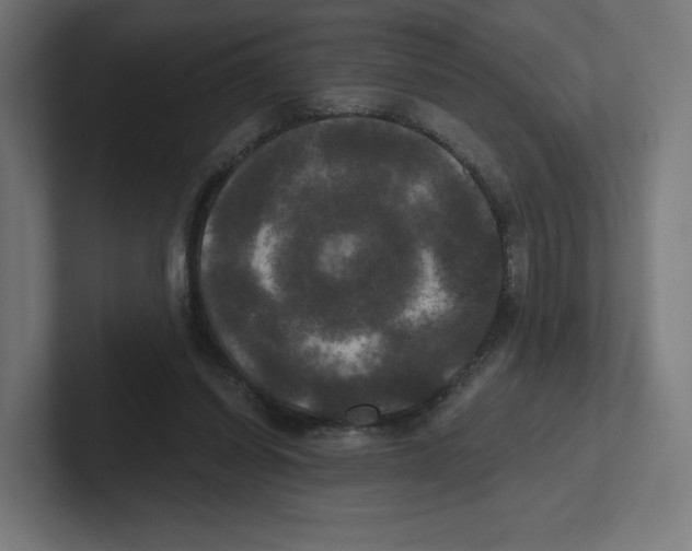 X0000102300254200808221427