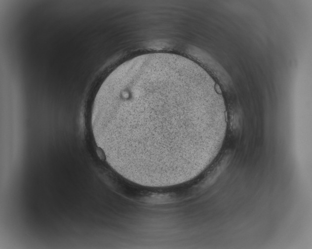 X0000102300256200808221427