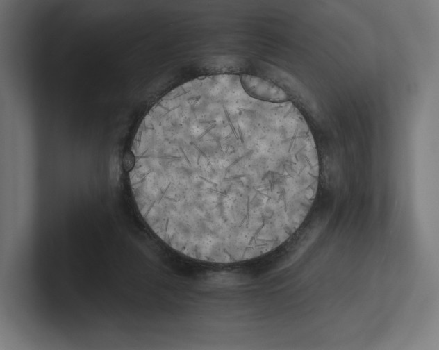 X0000102300259200808221427