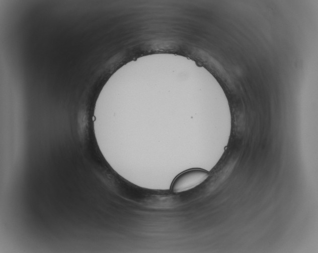 X0000102300260200808221427
