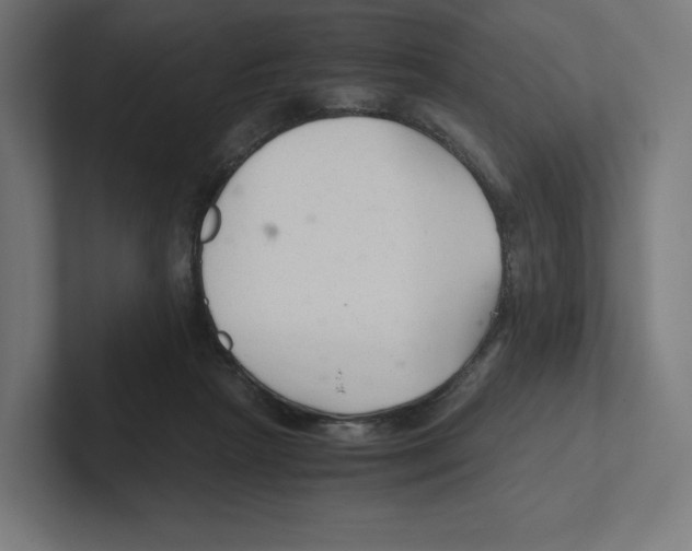 X0000102300265200808221427