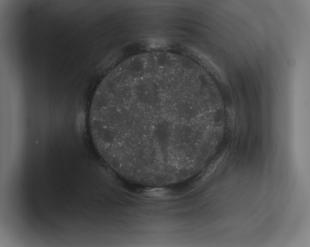 X0000102300269200808221427