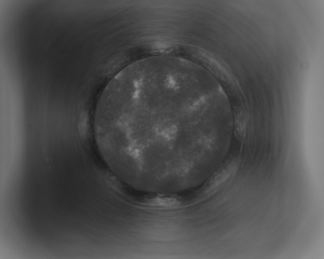 X0000102300270200808221427
