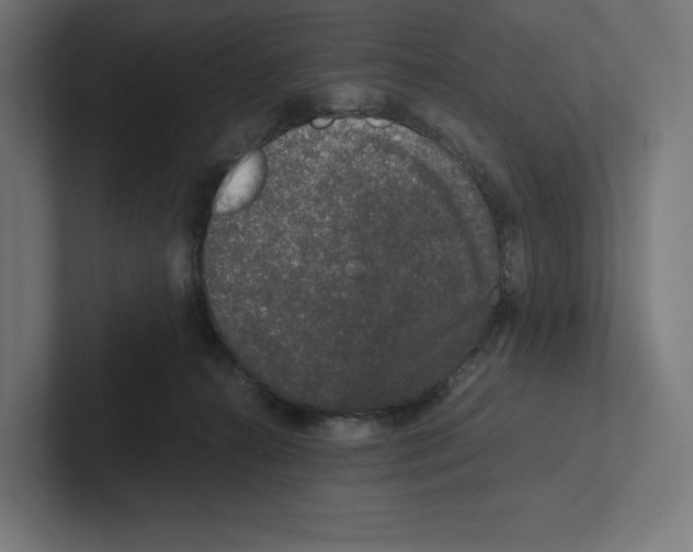 X0000102300272200808221427