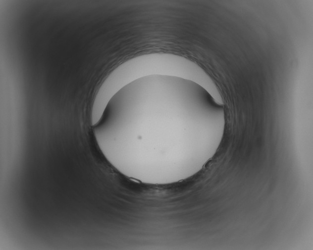X0000102300276200808221427