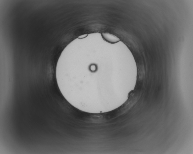 X0000102300279200808221427