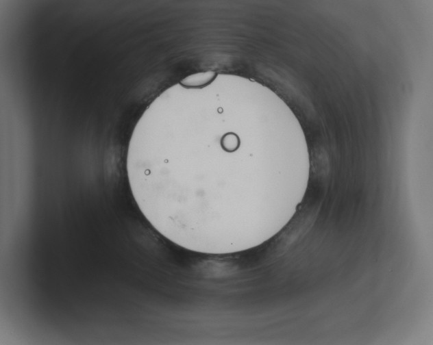 X0000102300280200808221427