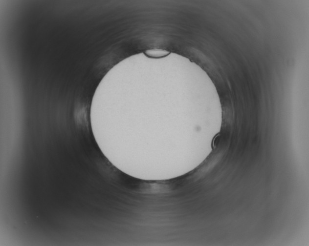 X0000102300286200808221427