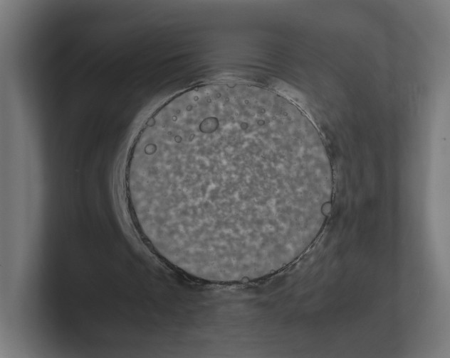 X0000102300289200808221427