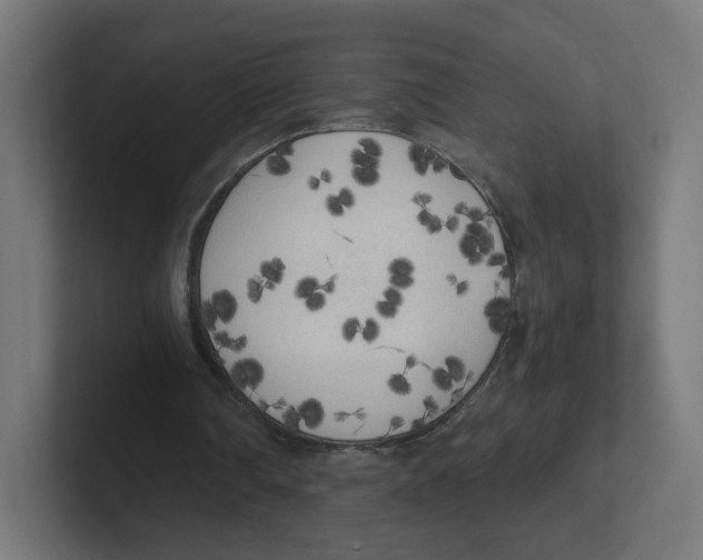 X0000102300290200808221427