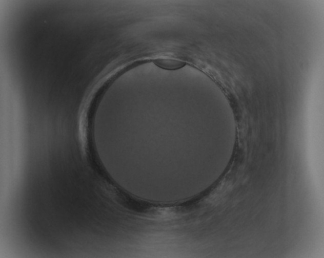 X0000102300295200808221426