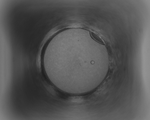 X0000102300296200808221426