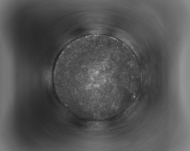 X0000102300297200808221426