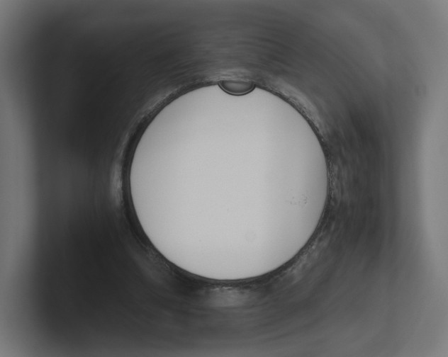 X0000102300298200808221426