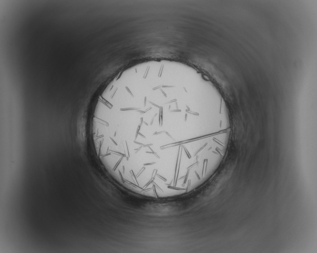 X0000102300299200808221426