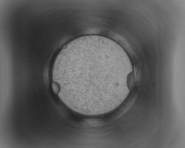 X0000102300300200808221426