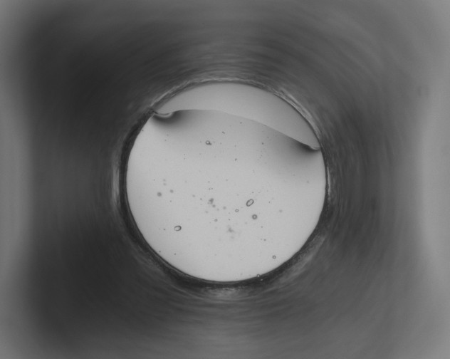 X0000102300301200808221426
