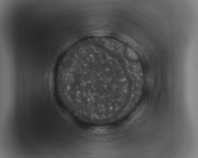 X0000102300303200808221426
