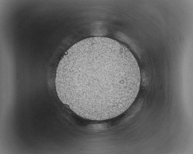X0000102300307200808221426