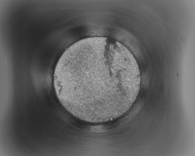 X0000102300309200808221426