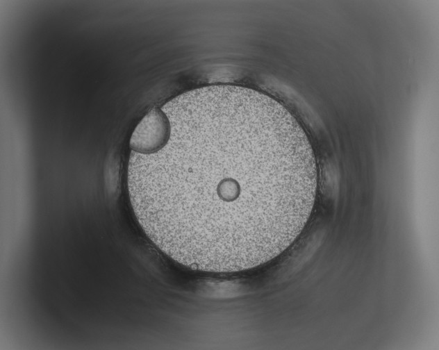 X0000102300311200808221426