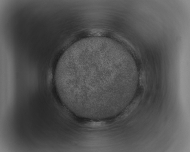 X0000102300314200808221426