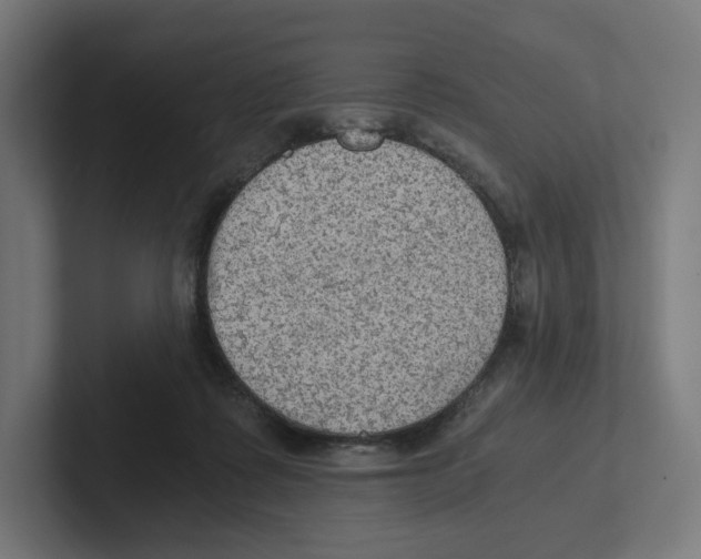 X0000102300315200808221426
