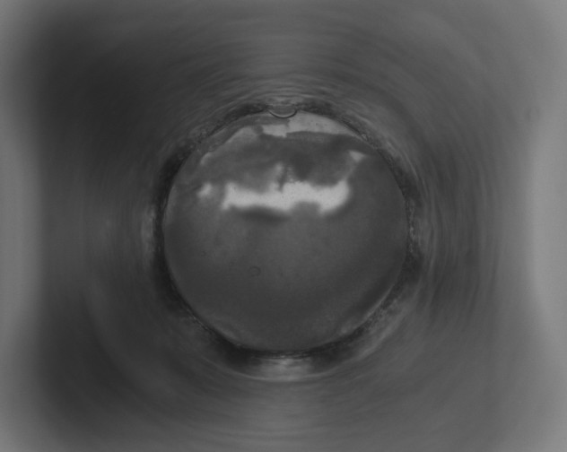 X0000102300319200808221426