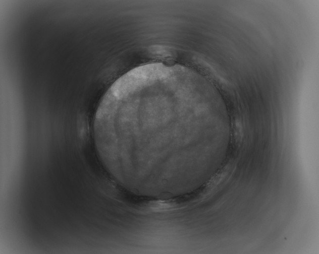 X0000102300320200808221426
