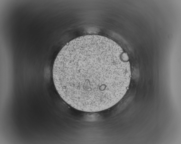 X0000102300321200808221426