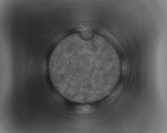 X0000102300322200808221426
