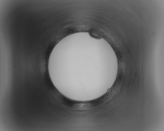 X0000102300323200808221426