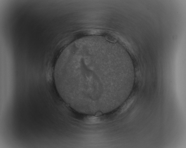 X0000102300325200808221426
