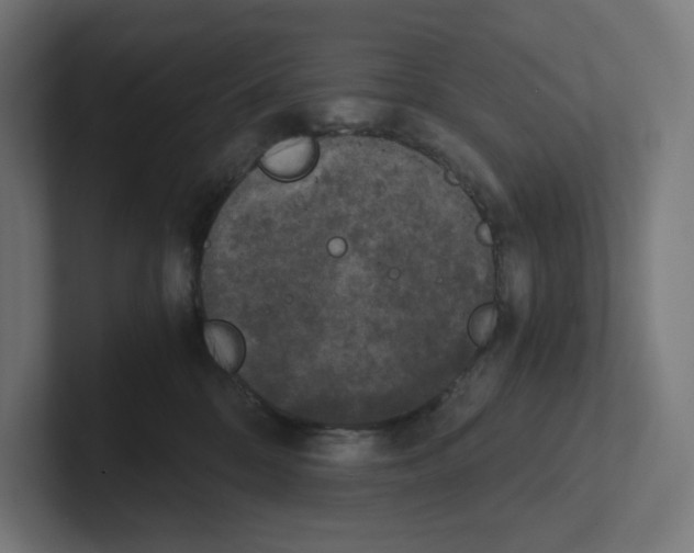 X0000102300328200808221426