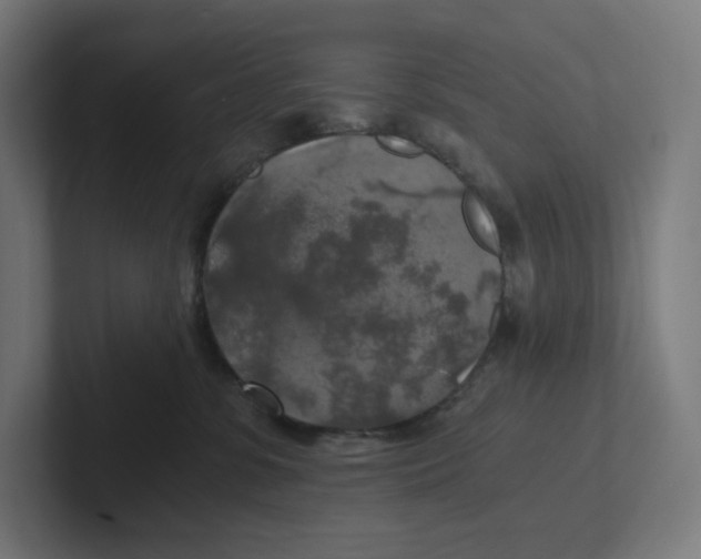X0000102300331200808221426