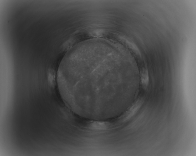 X0000102300332200808221426