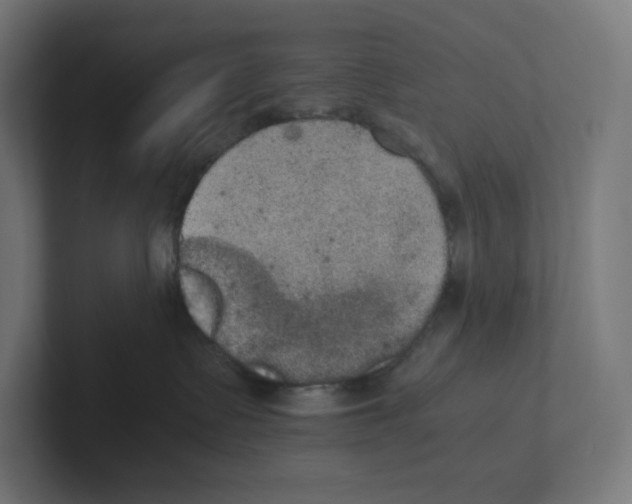 X0000102300335200808221426