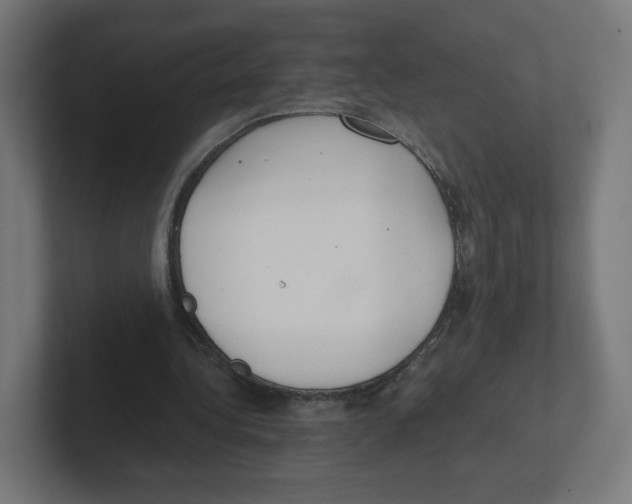 X0000102300340200808221425