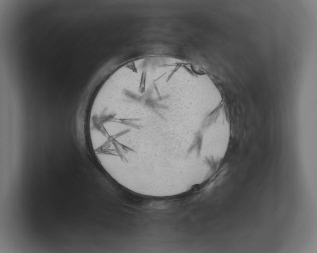 X0000102300341200808221425